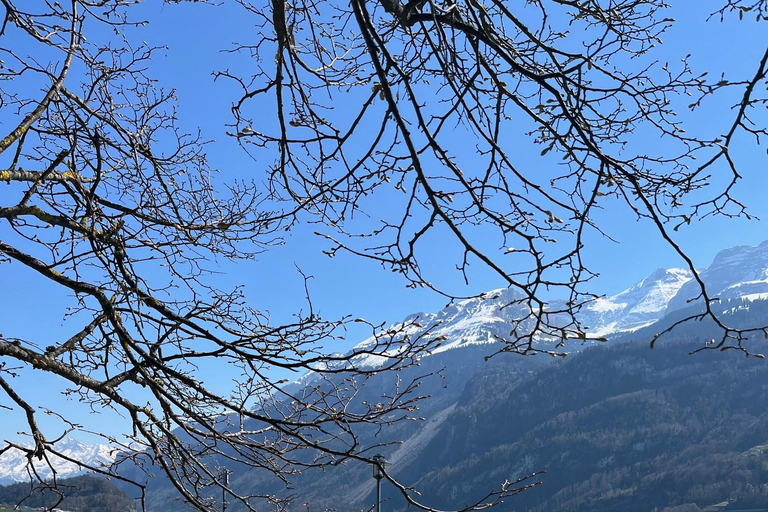 Von Basel aus: Private Tour zu den Alpen, Wasserfällen und Seen