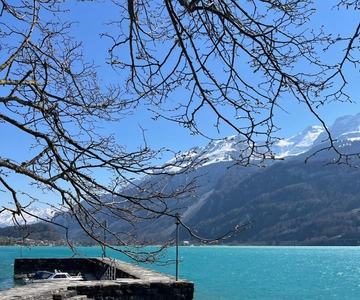 Da Basilea: tour privato delle Alpi, delle cascate e dei laghi