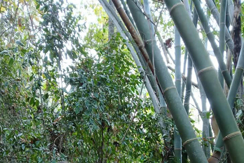 Luang Prabang: 3-Day Nong Khiaw Hiking and Kayaking Tour