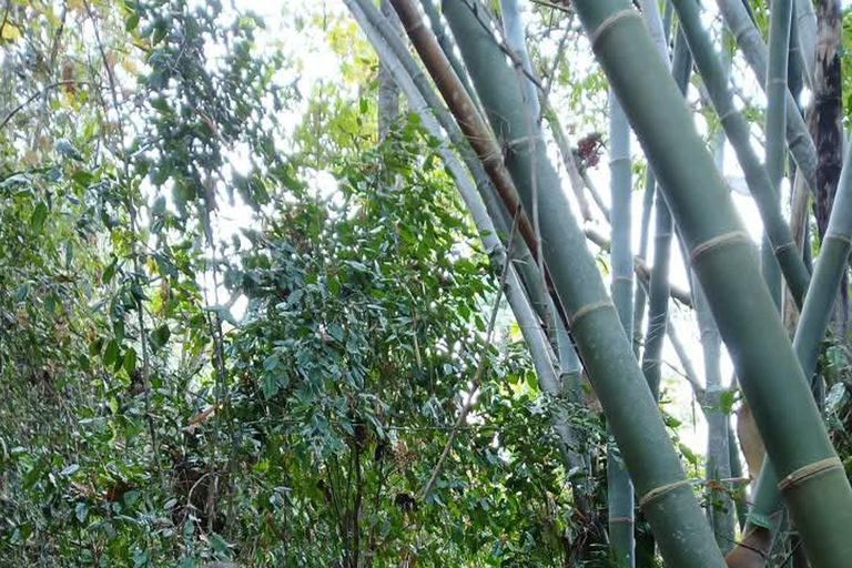 Luang Prabang: 3-Day Nong Khiaw Hiking and Kayaking Tour