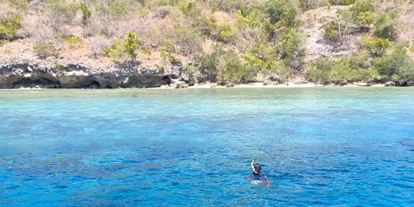 Menjangan Island: Snorkeling Tour with Lunch