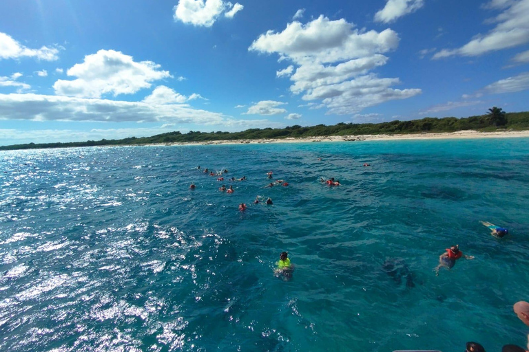 Catalina Island, explore this beautiful island from Juan Dolio and Boca Chica