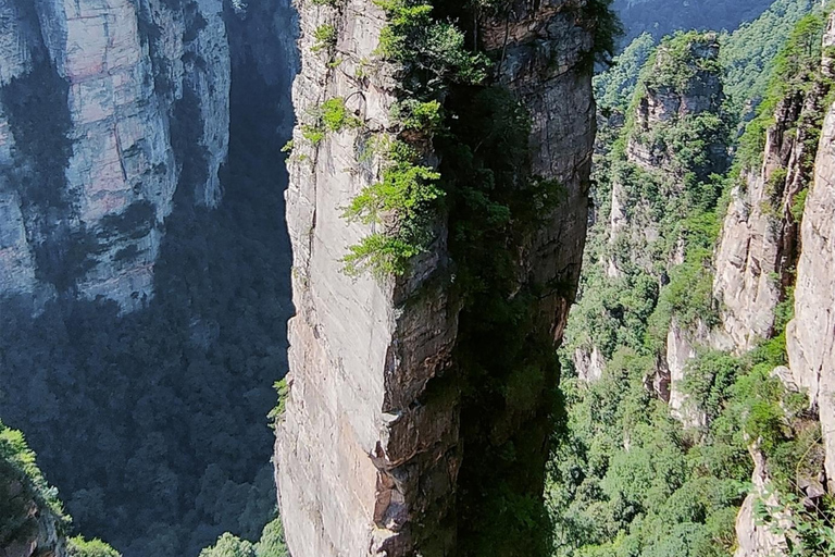 Vooraf geboekte ticket naar Zhangjiajie National Forest Park