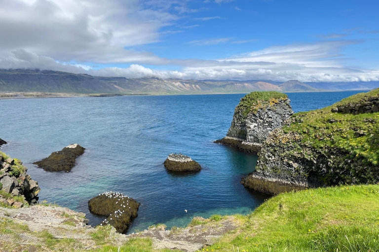 From Reykjavik: Snæfellsnes Day Tour and Home Cooked Meal