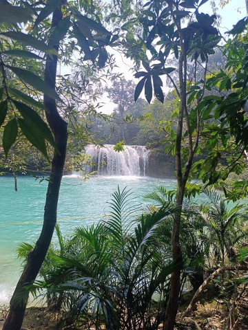 Visit Roberto Barrios Waterfalls from Palenque in Palenque