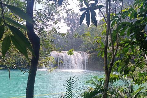 Palenque Archeological zone and Roberto Barrios Waterfalls Palenque archeological zone and Roberto Barrios waterfall