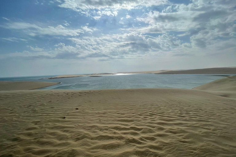 Doha: paquete de 5 horas de safari por el desierto