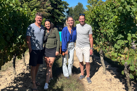 Niagara Benchlands: Ebike Tour with Wine Tastings