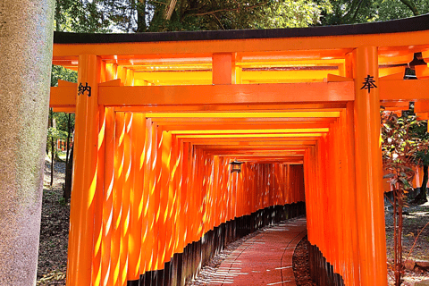 Kyoto : 12 points forts de la ville visite guidée d'une jounée entière