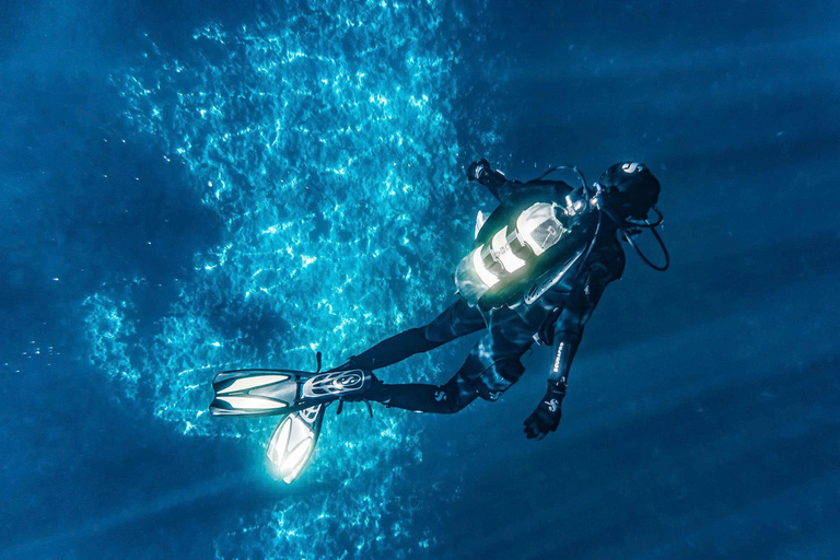 Da Nang: Cham Islands Fun Dive with Lunch and Transfers Fun Divers with Certified - two dive