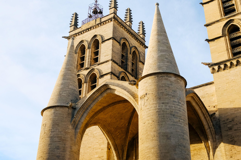 Historical and sightseeing walk in Old Montpellier
