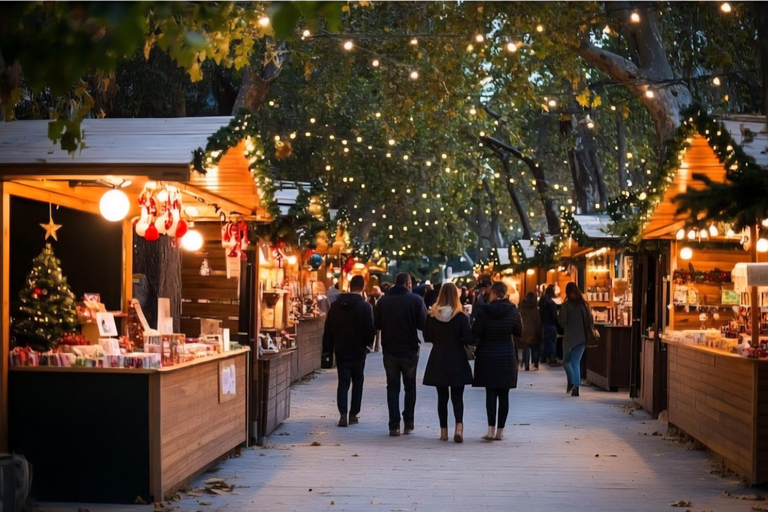 从帕福斯到勒夫卡拉圣诞市场和村庄接送服务从帕福斯到莱夫卡拉圣诞市场和村庄接送服务