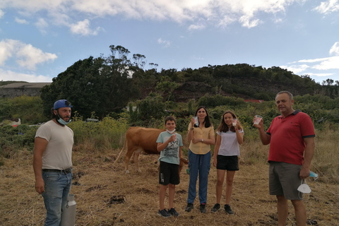 Tour del formaggio di Sao Jorge - mezza giornataTour del formaggio di Sao Jorge - Mezza giornata