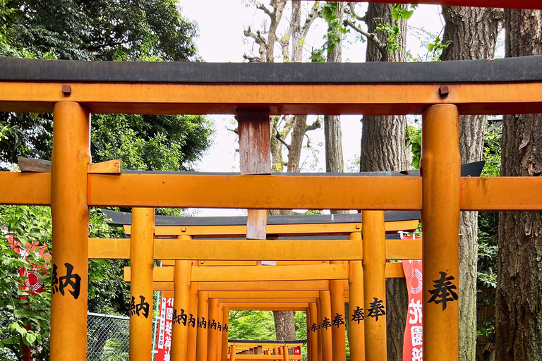 Tokyo: Customized Private Guided Tour in French Private French-speaking live guide in Tokyo Half-day