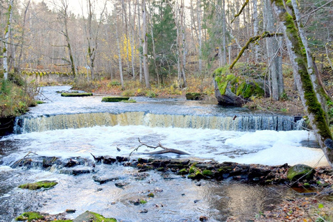 Descubre Estonia - excursión en coche a la ciénaga de Viru y a las cascadas.