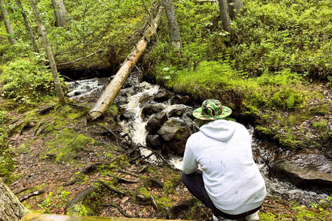 Rovaniemi to Ruka Roller Coaster & Korouoma Canyon Waterfall