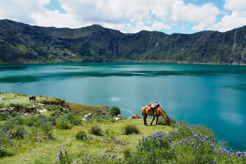 Quito: Private Cotopaxi National Park & Pasochoa Wildlife