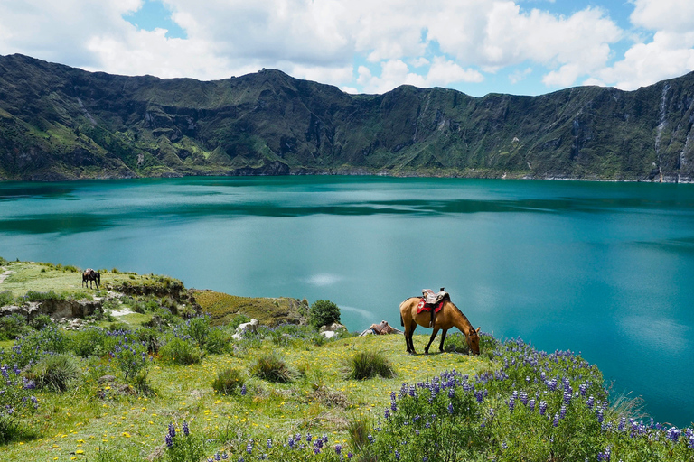 Quito: Private Cotopaxi National Park & Pasochoa Wildlife