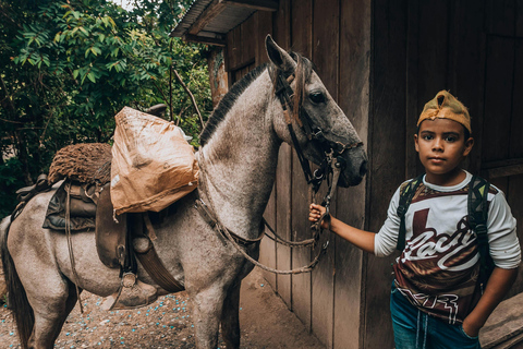 Luang Prabang: Beginner Pony Ride on Farm Trails