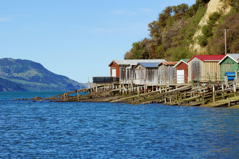 Christchurch: Excursión de un día a Akaroa y la península de Banks