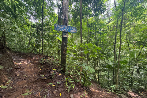 Bijagual Jungle Waterfall Hike & Herradura Beach Adventure