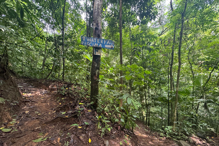 Bijagual Jungle Waterfall Hike & Herradura Beach Adventure