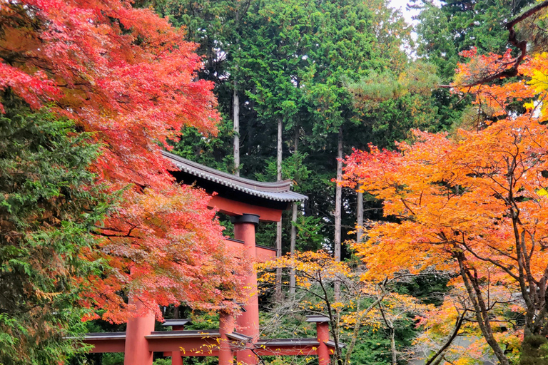 Viaje de 3 días a Tokio, el Monte Fuji y Hakone