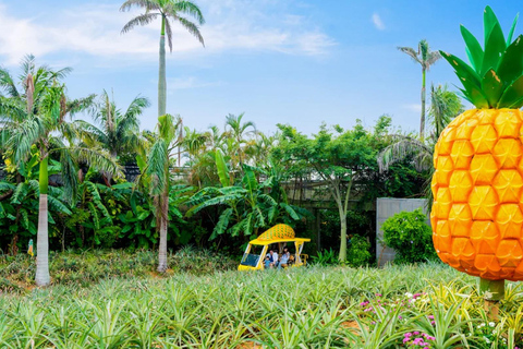 Kumejima : aquarium Churaumi d&#039;Okinawa, Manzamo, parc de l&#039;ananasBanque SMBC Shinjuku West Exit 9h30 (week-end et jours fériés 8h30)