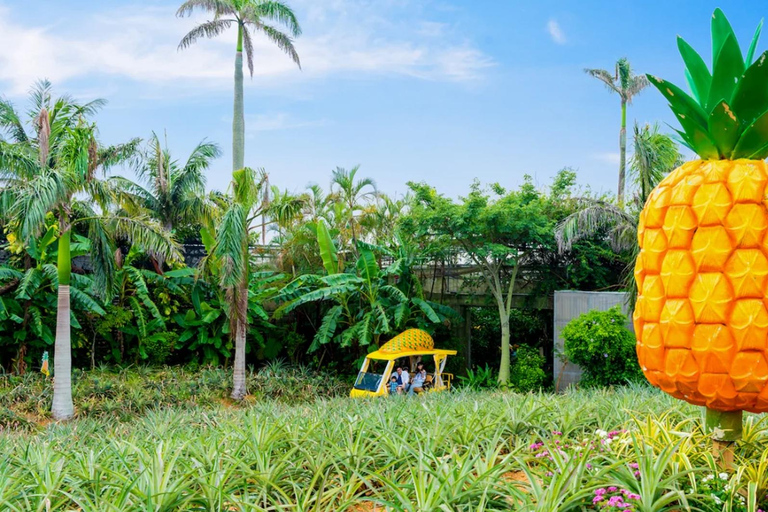 Kumejima : aquarium Churaumi d&#039;Okinawa, Manzamo, parc de l&#039;ananasBanque SMBC Shinjuku West Exit 9h30 (week-end et jours fériés 8h30)