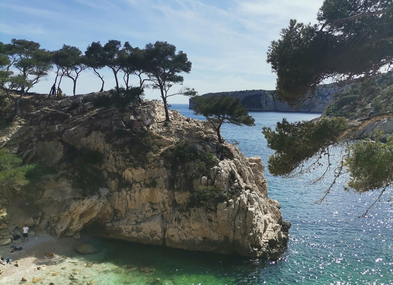 Marseille: Guidet vandretur i Calanques Nationalpark med picnic