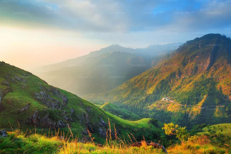 Kandy: Pidurutalagala Mountain Day Trip with Pickup