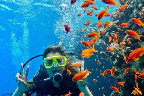 Mirissa Whale Watching, Turtle Snorkeling &Coconut Hill Tour Private Tour from Colombo, Negombo or Mount Lavinia