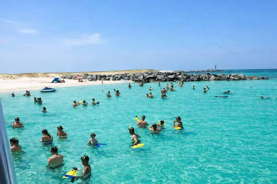 Shell Island: Schnorcheln mit 2 Stopps und Delfinbeobachtung. Foto: GetYourGuide Shell Island: Schnorcheln mit 2 Stopps und Delfinbeobachtung. Foto: GetYourGuide