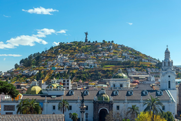 Quito: Skip-the-Line Museo de la Ciudad Private Tour