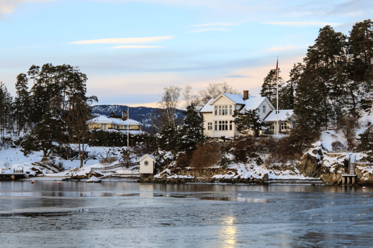 Oslo: Sightseeingcruise door de Oslofjord per elektrische boot