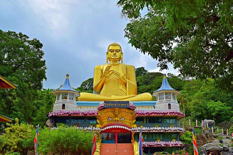 Kandy: Dambulla Cave Temple, Pidurangala, & Safari Tour