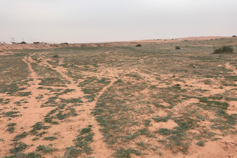 Riyad : &quot;Découvrez la magie des dunes de sable&quot;.