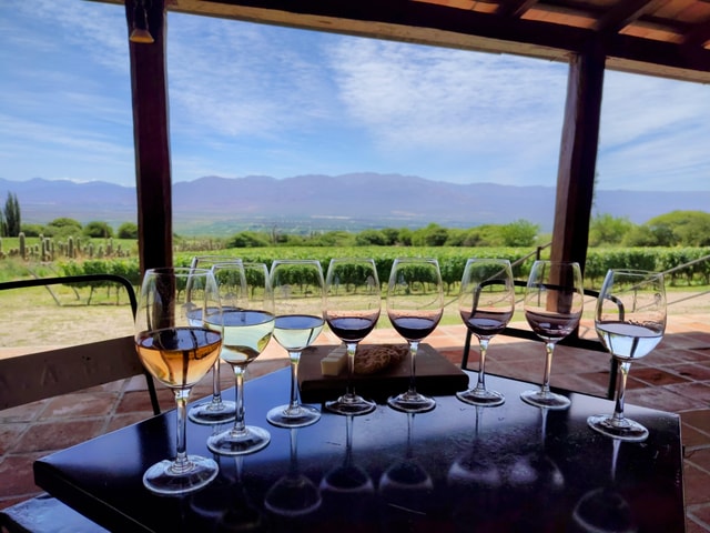 Cafayate: Half-day Wine Tour