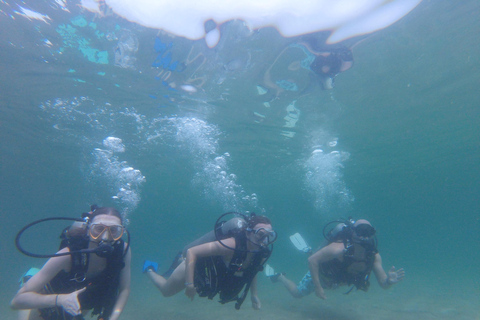 Panama City Beach : Tour de plongée sous-marine pour débutants