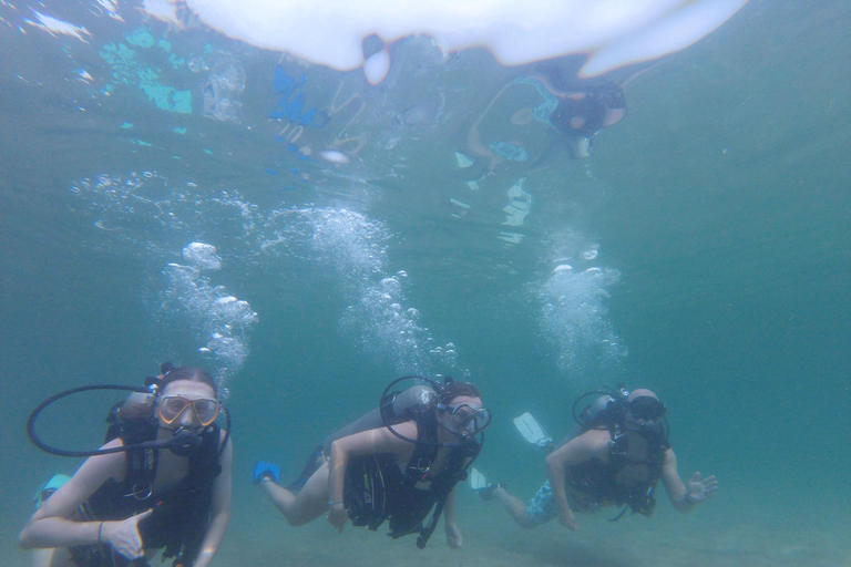 Praia da Cidade do Panamá: Excursão de mergulho para iniciantesPanama City Beach: Excursão de mergulho para iniciantes