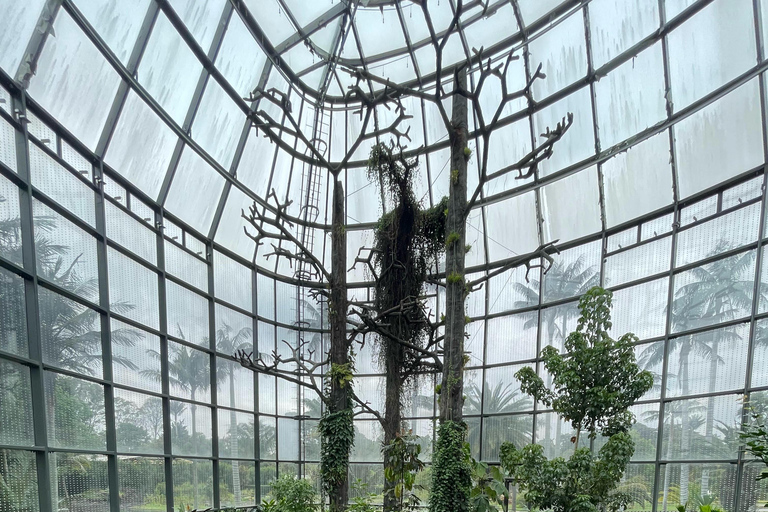 Bogotá: Botanical Garden Sightseeing Tour and Visit to the Paloquemao Market with Fruit Shared Sightseeing Tour + Tickets + Fruit