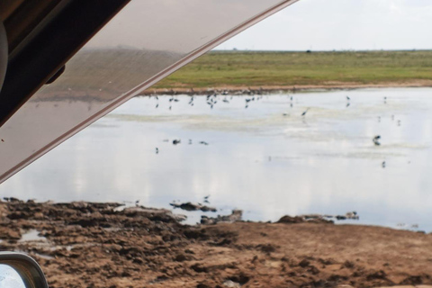 Mombasa: 4-Day Tsavo East, Tsavo West, & Amboseli Safari