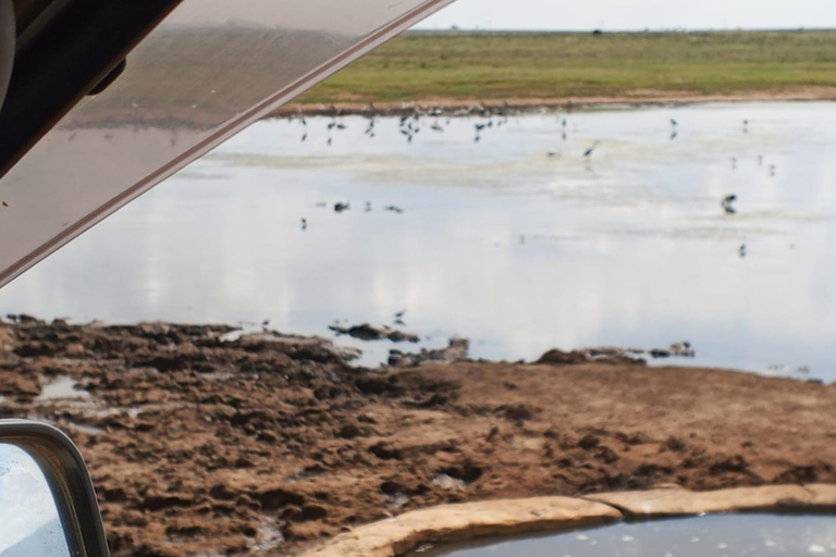 Mombasa: 4-Day Tsavo East, Tsavo West, & Amboseli Safari