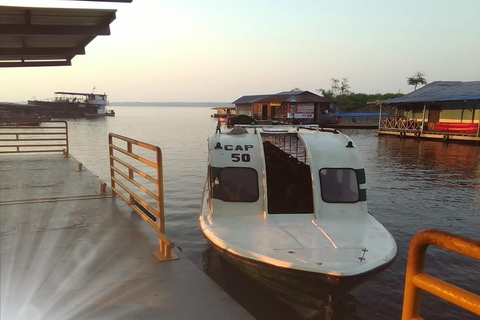 3-Day Amazon Expedition: Jungle, River & Wildlife Tour