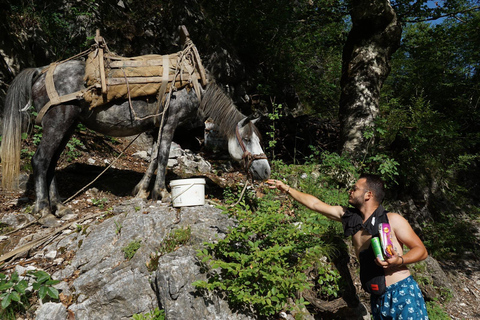 Shkoder: Albanian Alps and Theth Village Day Tour