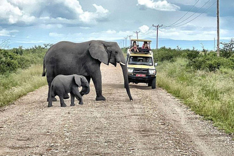 Uganda: 10-Day Luxury Safari with Gorilla Trekking