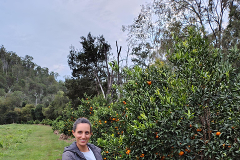 Brisbane Farm Day Trip | Ellia's Garden Scenic Rim