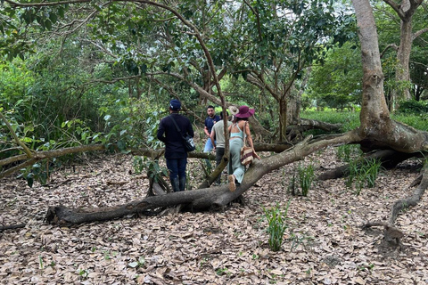 Palomino: Guided Birdwatching Tour with Hotel Pickup
