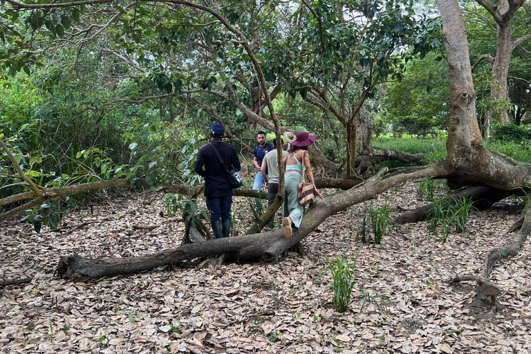 Palomino: Guided Birdwatching Tour with Hotel Pickup