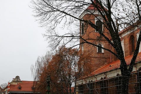From Vilnius: Christmas Miracles in Kaunas Full Day Trip